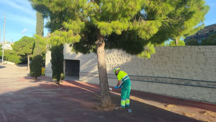 tratamiento contra la procesionaria del pino en 400 parques y puntos verdes del municipio