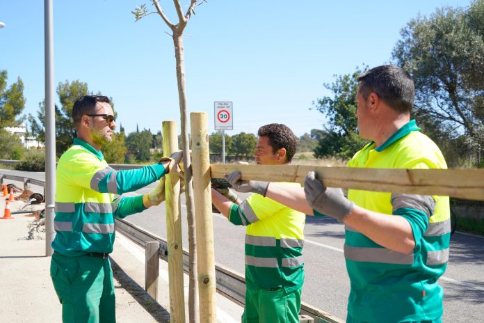 Palma plantará más de 2.800 árboles antes del mes de abril