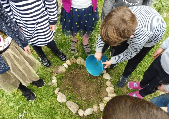 Agenda de actividades para divulgar los valores y la cultura de los bosques de las Illes Balears