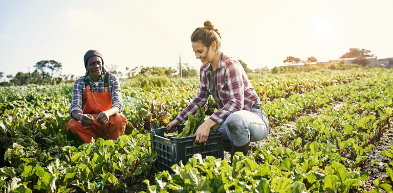 La producción ecológica creció un 10% en las Illes Balears en 2023