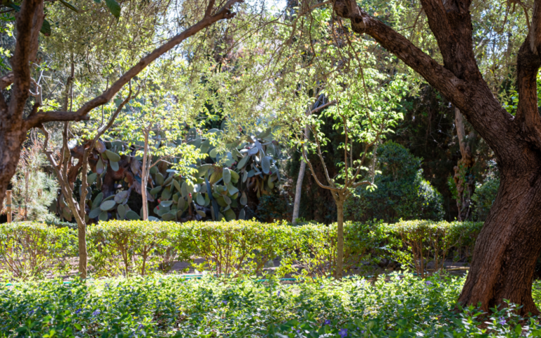 Programación de la 'Primavera al Jardí 2024'