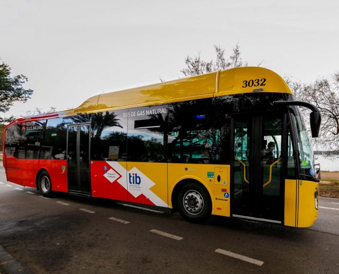 TIB suma más servicio con el inicio de cinco líneas en la costa de Llevant y en el norte de Mallorca