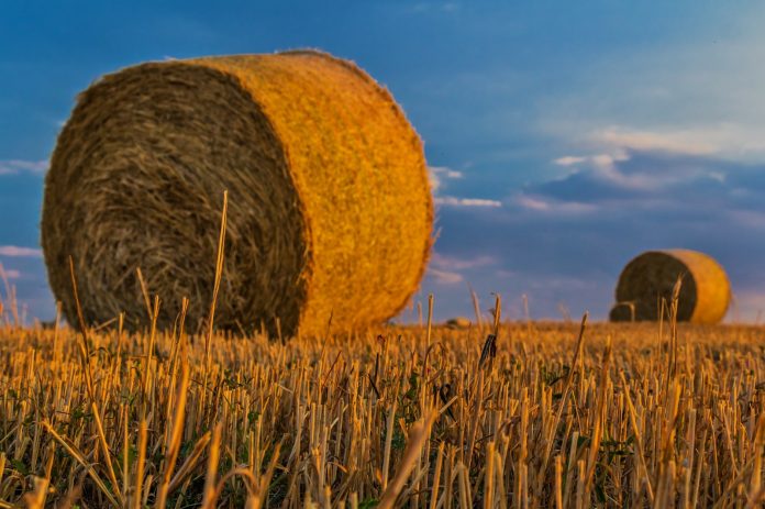 El Gobierno publica la orden de módulos con una rebaja general del 15% en el IRPF de 2023 para 9.000 agricultores y ganaderosNota de prensa v de Balear