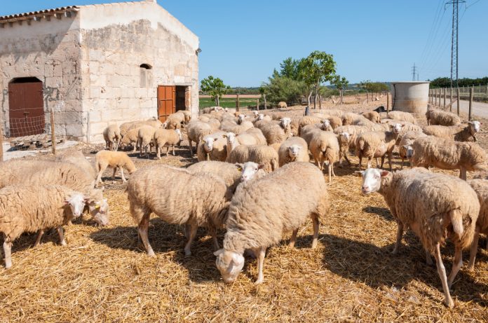 Agricultura informa que desde este viernes y hasta el día 15 de junio se podrán solicitar las ayudas para paliar los efectos de la sequía