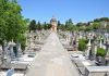 El cementerio de Son Tril·lo abre sus puertas con nuevas visitas guiadas para descubrir la historia y el patrimonio de Palma Las visitas guiadas diurnas al Cementerio de Palma son una experiencia teatral y cultural