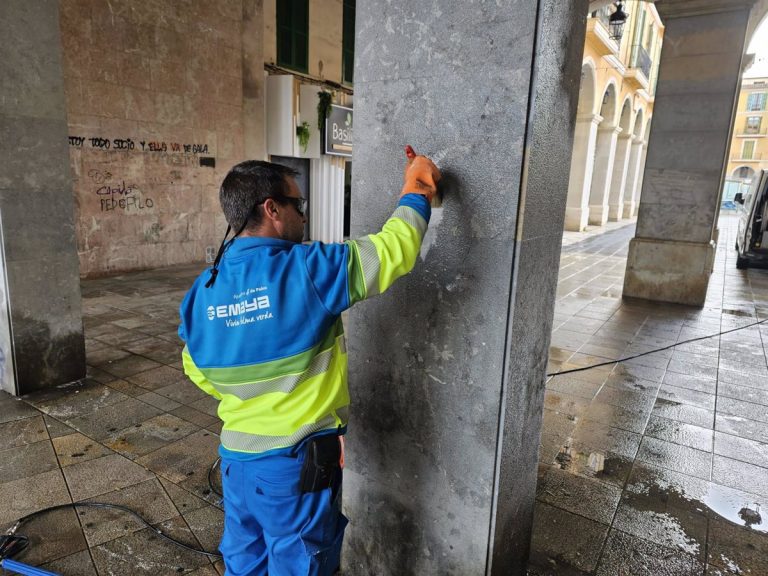 Se informa a asociaciones y entidades sobre la futura Ordenanza Municipal para el Fomento de la Convivencia Cívica en Palma