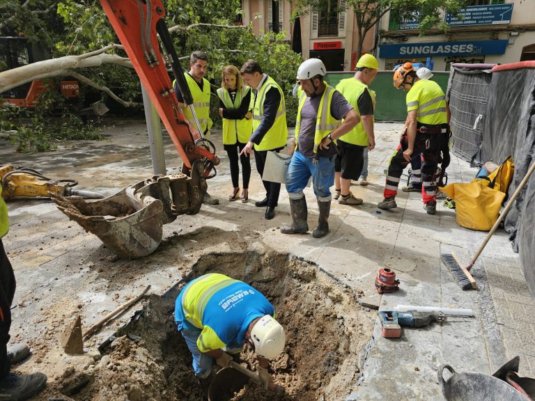 Retiran un árbol en la Plaza de España de Palma tras caída gradual sin daños