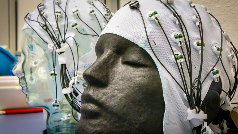 I Jornada Internacional SEDAN: Sensaciones, Emociones y Dolor en las Alteraciones del Neurodesarrollo