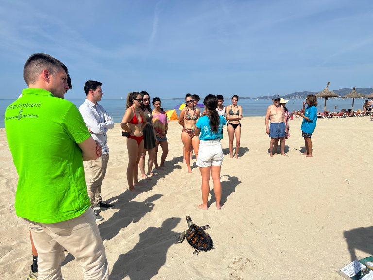Cort promueve la concienciación sobre la presencia de tortugas marinas en sus playas