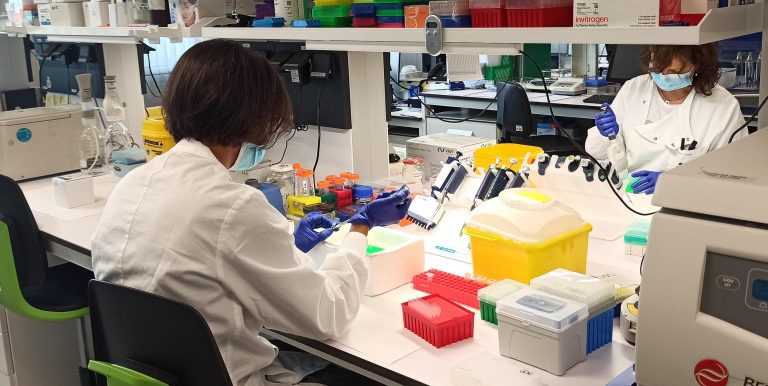 El Programa SOIB Investigación e Innovación abre inscripciones para contratar a 41 jóvenes en la UIB