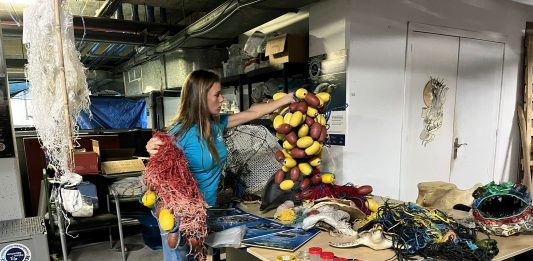 El Impacto de la Contaminación por Plásticos en Animales Marinos en el Mar Balear