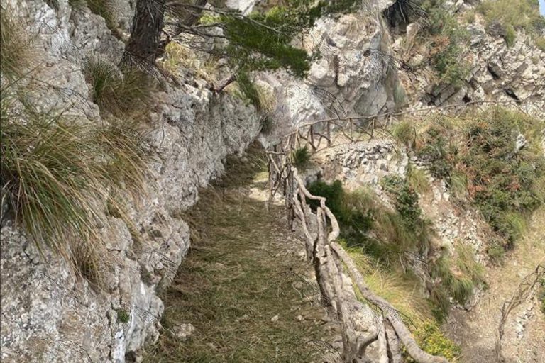 Finalizan los trabajos de rehabilitación del camino de Sa Talaia de Alcúdia en la finca pública de la Victòria