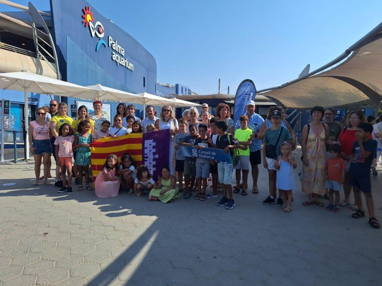 El Consell de Mallorca organiza una visita al Palma Aquarium para niños saharauis