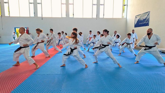 El polideportivo de Sant Ferran acogió 187.000 usuarios en 2024