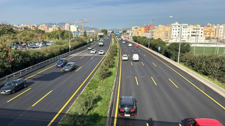 El Consell de Mallorca aprueba por amplia mayoría la ley para regular la entrada de vehículos en la isla