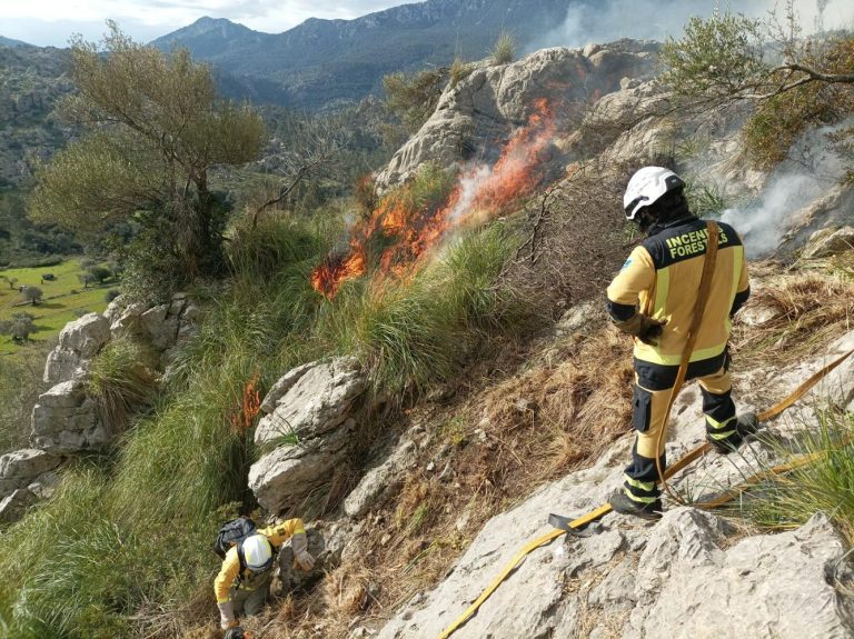 Trabajos de prevención de incendios forestales y control de especies invasoras mediante quemas controladas