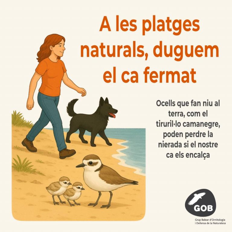 Esta primavera, disfrutamos de la naturaleza sin molestar a las aves