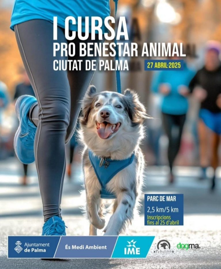 La I Cursa Pro-Benestar Animal recorrerá el Parc de la Mar el próximo 27 de abril