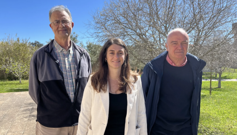 Premio internacional para un estudio sobre desposesión de vivienda y geografía social en Palma