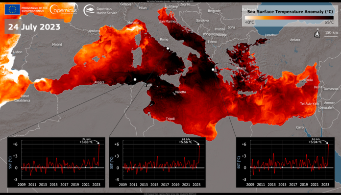 El calentamiento global ha triplicado las olas de calor marinas desde 1940, según un estudio de la UIB e IMEDEA
