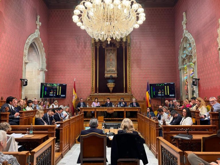 Un millón de euros para impulsar proyectos culturales en arte contemporáneo, música, tradiciones e inclusión