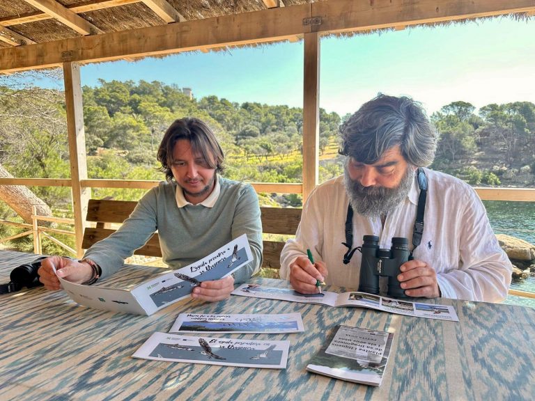 El Consell de Mallorca publica dos cómics y una guía para celebrar la biodiversidad de sa Dragonera en su 30 aniversario como parque natural Las publicaciones, de carácter didáctico, formarán parte de las actividades conmemorativas que se realizarán a lo largo de este 2025 Palma, 13 de abril de 2025 – El Consell de Mallorca, a través del Departament de Medi Ambient, Medi Rural i Esports, ha editado tres nuevas publicaciones didácticas —dos cómics y una guía ilustrada— con el objetivo de acercar a la ciudadanía la biodiversidad, los valores etnobotánicos y la problemática de las especies invasoras en sa Dragonera, en el marco de las celebraciones por el 30 aniversario del parque natural. Las obras, que se distribuirán en diversos actos durante todo el año, se han desarrollado con el apoyo del proyecto europeo PRO.GRE.SS, y son el fruto de procesos participativos con la implicación de entidades como Dragonera Blava, Save the Med, la UIB, el Govern balear, el Ajuntament d’Andratx, y diversos sectores vinculados al medio marino y la pesca. Todas las publicaciones están disponibles en castellano y catalán. El vicepresidente segundo y conseller de Medi Ambient, Pedro Bestard, ha destacado que “a través de una forma amena, como las viñetas de los cómics o una pequeña guía ilustrada, tenemos la oportunidad de sumergirnos en el ecosistema de sa Dragonera y conocer un poco más de sus maravillas medioambientales”. Además, ha subrayado que “estas publicaciones ayudan a sensibilizar a través del conocimiento sobre la necesidad de conservar espacios tan singulares como este”. Tres nuevas publicaciones para descubrir sa Dragonera Cómic L’àguila peixatera a sa Dragonera Aborda las presiones que sufre el águila pescadora en el entorno de la isla y plantea medidas para su protección. Ha sido elaborado con la colaboración de Save the Med, Dragonera Blava y representantes locales de sectores implicados. Las ilustraciones son del artista Luis Resines (Pelopantón). Cómic Posem fre a les espècies exòtiques invasores Centrado en la pérdida de biodiversidad provocada por las especies exóticas invasoras, este cómic se elaboró junto a expertos de la UIB, el Ajuntament d’Andratx y los participantes de un taller colaborativo. También cuenta con ilustraciones de Luis Resines. Guia de plantes i líquens de sa Dragonera i els seus usos Esta guía recoge una selección de flora y líquenes de la isla, así como sus usos tradicionales. Fue creada con la participación del alumnado de 5º de primaria del CEIP Es Vinyet de Andratx, que realizaron las fotografías y textos con el apoyo de sus familias y docentes. El diseño e ilustraciones son de Diana Farràs i Serra, y ha contado con la colaboración de la entidad Mare Balear. Estas publicaciones no solo acercan la riqueza natural de sa Dragonera al gran público, sino que también fomentan la educación ambiental y el vínculo emocional con el territorio. Las actividades del 30 aniversario continuarán durante todo el año con nuevas propuestas culturales y educativas en torno a este emblemático parque natural de Mallorca.