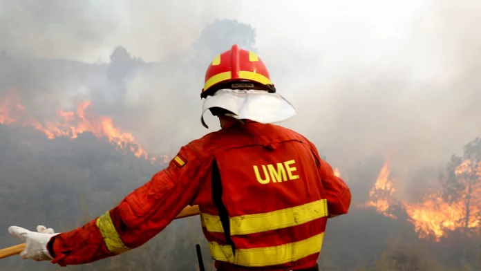 La UME desplegará en Balears sus destacamentos para la campaña contra incendios forestales a partir del 2 de junio