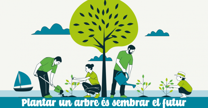 La APB invita a la ciudadanía a “plantar el futuro” en el Nuevo Paseo Marítimo de Palma
