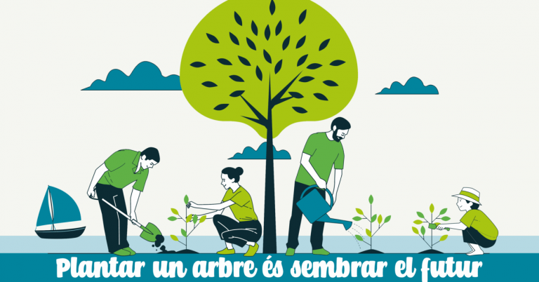 La APB invita a la ciudadanía a “plantar el futuro” en el Nuevo Paseo Marítimo de Palma