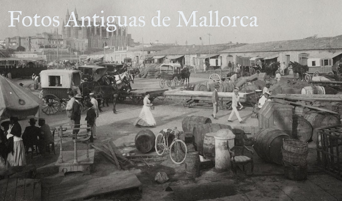 Un día cualquiera en el puerto de Palma a finales del siglo XIX