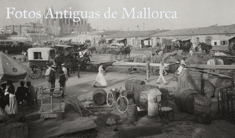 Un día cualquiera en el puerto de Palma a finales del siglo XIX