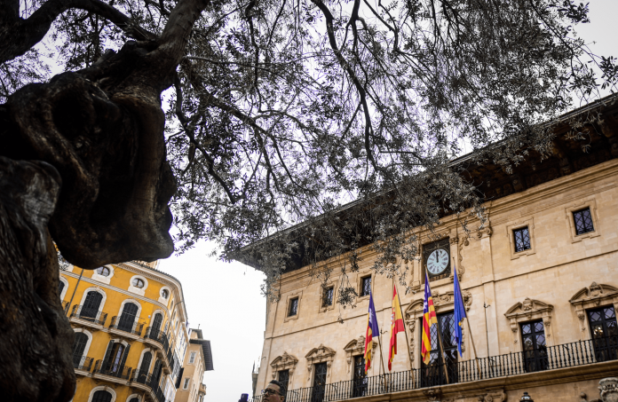 Cort aprueba 1,6 millones en subvenciones para asociaciones de vecinos de Palma entre 2025 y 2026