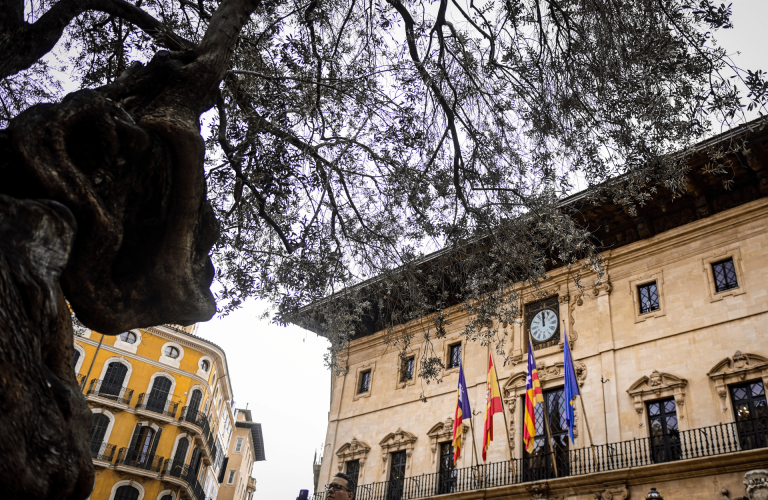 Cort aprueba 1,6 millones en subvenciones para asociaciones de vecinos de Palma entre 2025 y 2026
