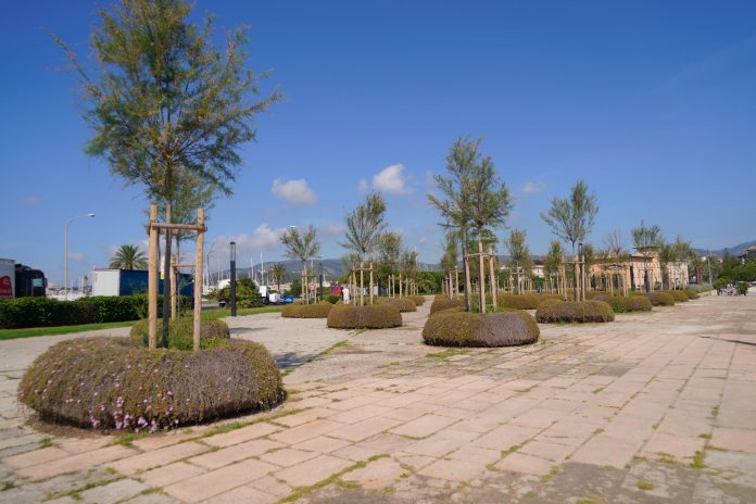 Cort impulsa la segunda fase de la reforma del Parc de la Mar con una inversión de 9,4 millones de euros