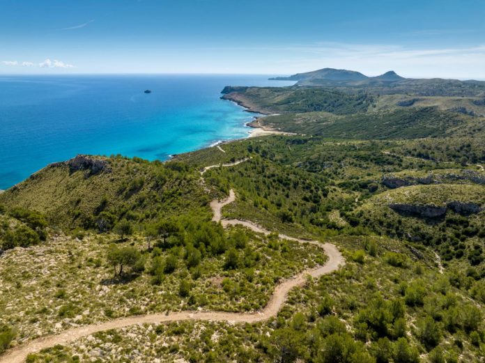 El Govern celebra el Día Mundial del Medio Ambiente con actividades en todas las islas