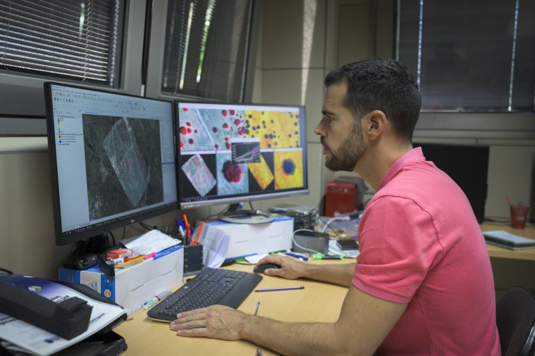 Un proyecto europeo desarrollará un sistema de alerta temprana para prevenir la mortandad de pinares y encinares