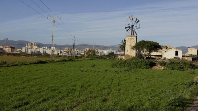 Vivienda aprueba el proyecto de urbanización de Son Bordoy en Palma tras más de una década de tramitación