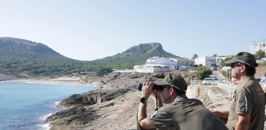 El Govern adquiere las fincas públicas de Son Jaumell, Cala Torta, Cala Mitjana y Cala Estreta para preservar el patrimonio natural La operación, con un coste de 3,38 millones de euros, permite ampliar la red de espacios protegidos en el Parque Natural de la Península de Llevant y garantizar un uso público sostenible. Palma. 17 de julio de 2025. El Govern de les Illes Balears ha oficializado la adquisición de las fincas públicas de Son Jaumell (Capdepera) y de Cala Torta, Cala Mitjana y Cala Estreta (Artà), ubicadas dentro del Parque Natural de la Península de Llevant. La operación supone la compra de 583,9 hectáreas por un valor total de 3,38 millones de euros y representa, en palabras de la presidenta Margalida Prohens, “un hito clave para la preservación del patrimonio natural y cultural de Mallorca”. Estas fincas se sitúan en áreas de máxima protección ambiental, como la Red Natura 2000 y la Reserva Natural del Cap des Freu, un enclave ecológico de alto valor donde nidifican especies como el águila pescadora o el cormorán moñudo. La adquisición también contempla elementos de interés patrimonial y etnográfico, como la torre de defensa de Son Jaumell, hornos de cal, barracas de carbonero y construcciones tradicionales. Durante el acto, al que asistieron los alcaldes de Capdepera y Artà, así como responsables de Medio Natural y Patrimonio, Prohens subrayó que esta acción se enmarca en la estrategia del Govern de ampliar los espacios verdes de uso público, fomentar la sostenibilidad y conservar la biodiversidad. Se prevé habilitar nuevos itinerarios que conecten zonas de interés natural e histórico, como el Coll de Marina o la Talaia de Son Jaumell, y ordenar los accesos a las calas vírgenes para asegurar su protección. Por su parte, el conseller de Medio Natural, Joan Simonet, ha destacado que estas fincas acogen ecosistemas de gran riqueza ecológica —sistemas dunares, bosques litorales y prados mediterráneos— con especies endémicas como el botó d’or (Ranunculus weyleri), la estepa joana (Hypericum balearicum) o la camamil·la de muntanya (Santolina magonica). La operación convierte a Capdepera en propietario, por primera vez, de una finca pública de casi 500 hectáreas, y permite a Artà ampliar sus fincas públicas con 93 hectáreas adicionales que se suman a las ya existentes en su término municipal. Con esta acción, el Govern reafirma su compromiso con la conservación del territorio, la educación ambiental y el acceso equitativo de la ciudadanía a los espacios naturales.
