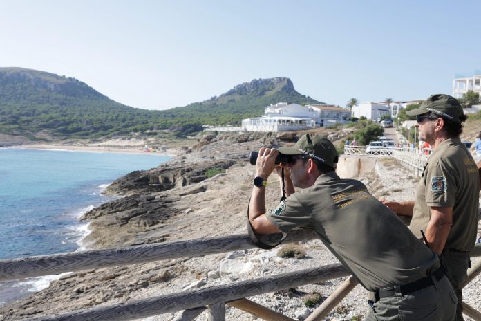 El Govern adquiere las fincas públicas de Son Jaumell, Cala Torta, Cala Mitjana y Cala Estreta para preservar el patrimonio natural La operación, con un coste de 3,38 millones de euros, permite ampliar la red de espacios protegidos en el Parque Natural de la Península de Llevant y garantizar un uso público sostenible. Palma. 17 de julio de 2025. El Govern de les Illes Balears ha oficializado la adquisición de las fincas públicas de Son Jaumell (Capdepera) y de Cala Torta, Cala Mitjana y Cala Estreta (Artà), ubicadas dentro del Parque Natural de la Península de Llevant. La operación supone la compra de 583,9 hectáreas por un valor total de 3,38 millones de euros y representa, en palabras de la presidenta Margalida Prohens, “un hito clave para la preservación del patrimonio natural y cultural de Mallorca”. Estas fincas se sitúan en áreas de máxima protección ambiental, como la Red Natura 2000 y la Reserva Natural del Cap des Freu, un enclave ecológico de alto valor donde nidifican especies como el águila pescadora o el cormorán moñudo. La adquisición también contempla elementos de interés patrimonial y etnográfico, como la torre de defensa de Son Jaumell, hornos de cal, barracas de carbonero y construcciones tradicionales. Durante el acto, al que asistieron los alcaldes de Capdepera y Artà, así como responsables de Medio Natural y Patrimonio, Prohens subrayó que esta acción se enmarca en la estrategia del Govern de ampliar los espacios verdes de uso público, fomentar la sostenibilidad y conservar la biodiversidad. Se prevé habilitar nuevos itinerarios que conecten zonas de interés natural e histórico, como el Coll de Marina o la Talaia de Son Jaumell, y ordenar los accesos a las calas vírgenes para asegurar su protección. Por su parte, el conseller de Medio Natural, Joan Simonet, ha destacado que estas fincas acogen ecosistemas de gran riqueza ecológica —sistemas dunares, bosques litorales y prados mediterráneos— con especies endémicas como el botó d’or (Ranunculus weyleri), la estepa joana (Hypericum balearicum) o la camamil·la de muntanya (Santolina magonica). La operación convierte a Capdepera en propietario, por primera vez, de una finca pública de casi 500 hectáreas, y permite a Artà ampliar sus fincas públicas con 93 hectáreas adicionales que se suman a las ya existentes en su término municipal. Con esta acción, el Govern reafirma su compromiso con la conservación del territorio, la educación ambiental y el acceso equitativo de la ciudadanía a los espacios naturales.