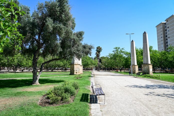 Reposición de 1.326 plantas arbustivas en Ses Fontanelles y los parques Krekovic y Albert Camús