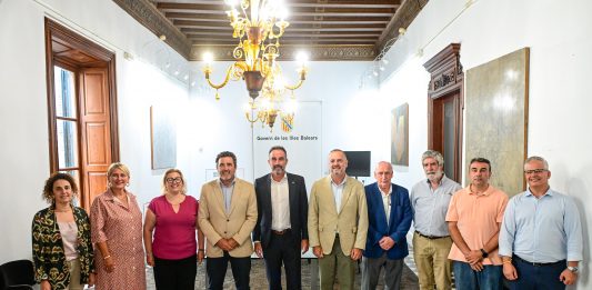 Palma se suma al acuerdo de prestación conjunta del servicio público de taxi junto a otros siete municipios