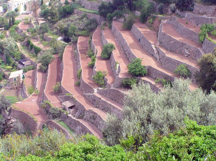 2,8 millones al mantenimiento del paisaje cultural de la Serra de Tramuntana