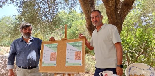 Abierta la inscripción para el ciclo de talleres «Estiu a Raixa» 2025 dedicado a la almendra