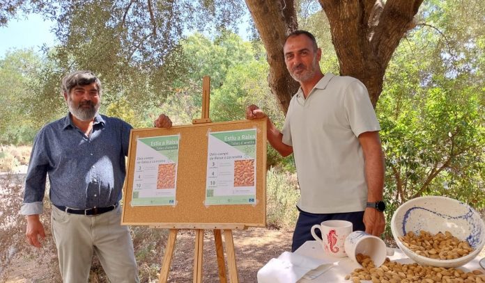 Abierta la inscripción para el ciclo de talleres «Estiu a Raixa» 2025 dedicado a la almendra