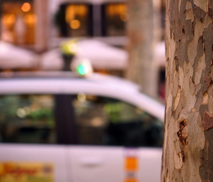 El servicio conjunto de taxi se amplía a ocho municipios con la incorporación de Llucmajor y Deià