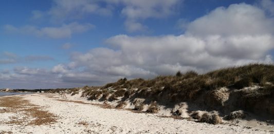 Refuerzo de la educación ambiental en Baleares con la contratación de 20 profesionales hasta 2027