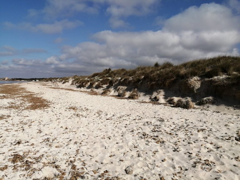 Refuerzo de la educación ambiental en Baleares con la contratación de 20 profesionales hasta 2027
