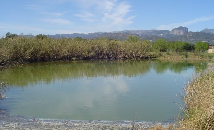 ABAQUA impulsa la mejora del sistema de restitución del efluente de la EDAR de Binissalem y su biodiversidad