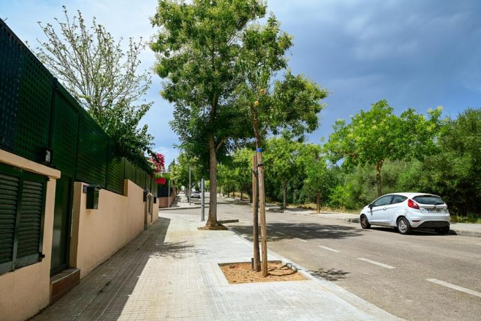 Renovación de una veintena de alcorques en la calle Til·ler, en el barrio de Son Serra-La Vileta