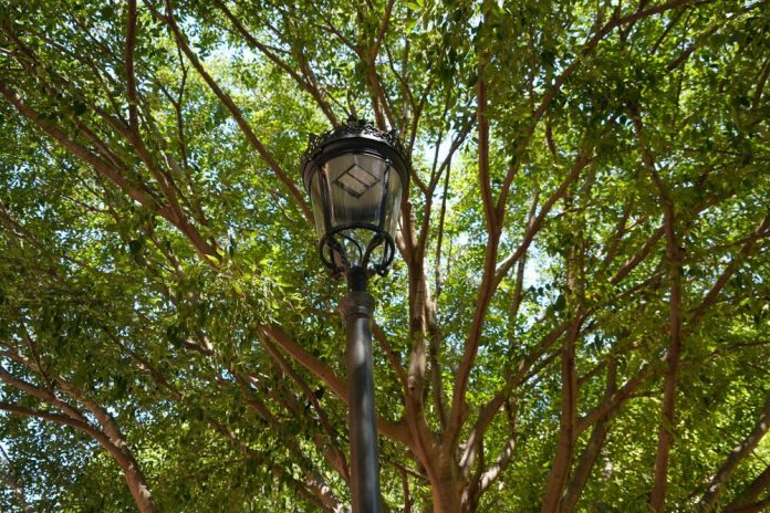 Cort destina 96.000 euros a la renovación del alumbrado público de tres zonas de la ciudad